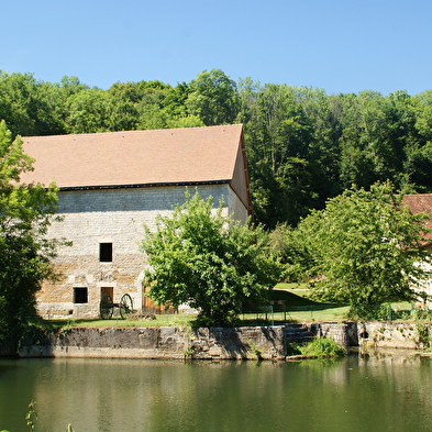 Rundwanderung - Die Ufer des Ognon in Rougemont 