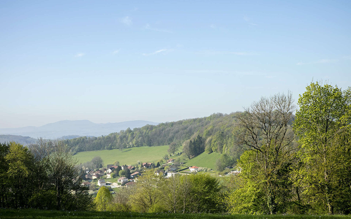 Pfad der Großen Wiesen