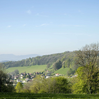 Pfad der Großen Wiesen - PUGEY