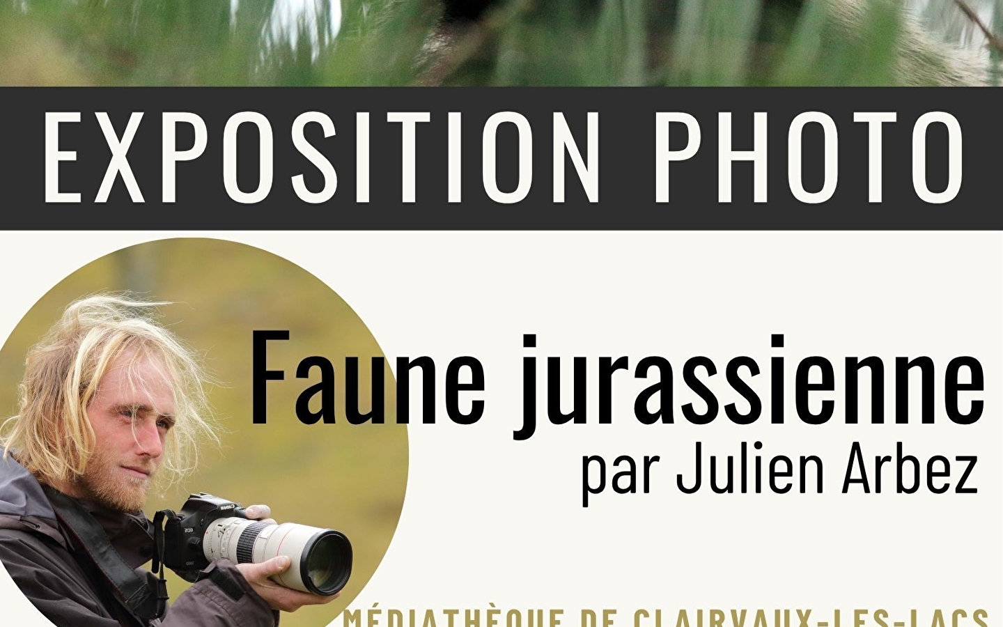 Fotoausstellung - Fauna des Jura