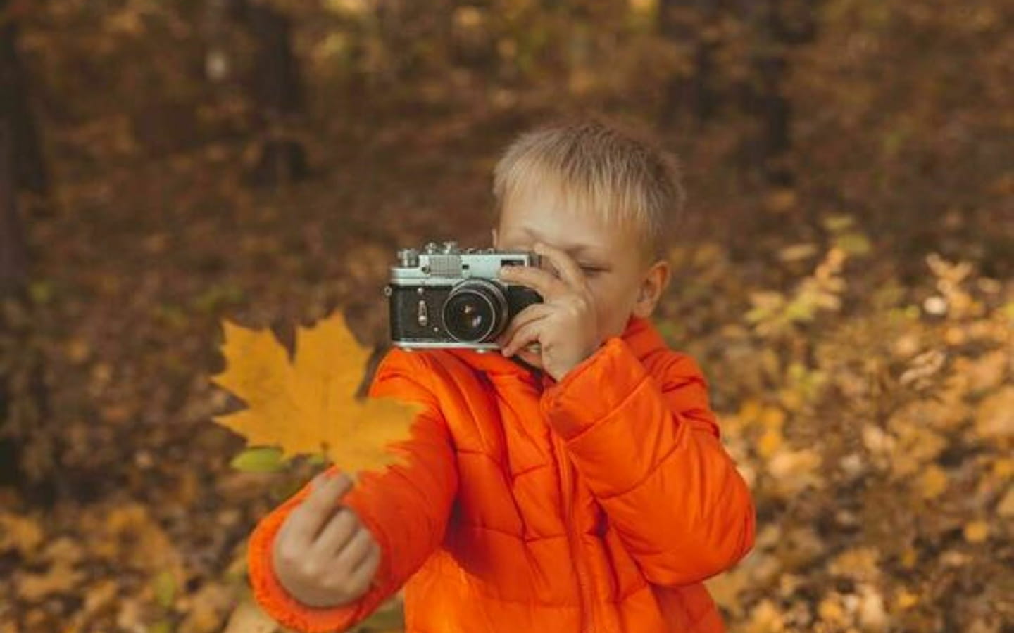 Familien-Workshop im Herbst: Lernen, das Leben zu beobachten