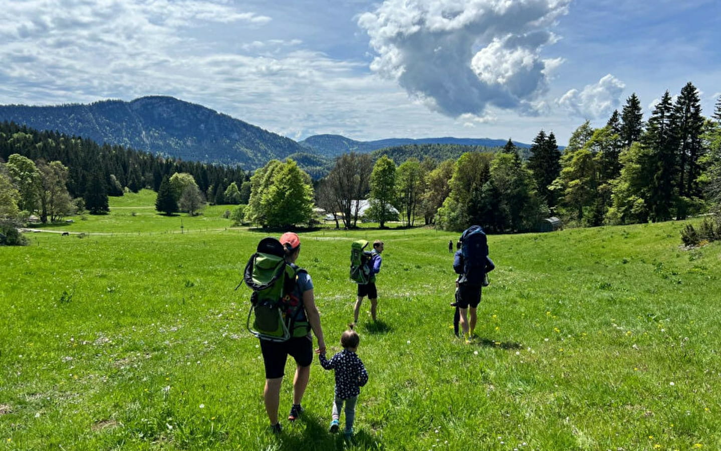 Besuch der Alm mit dem Hirten: Geschichte, Kulturerbe: die Geheimnisse des Mont d'Or