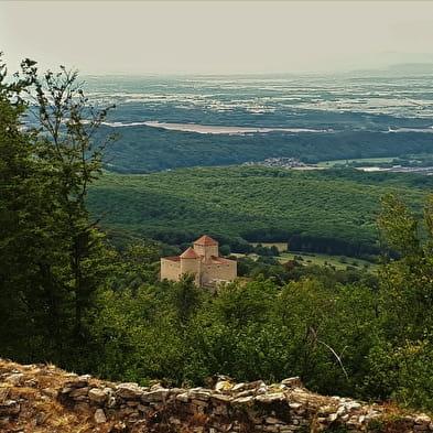 Panorama du Mont Luisandre