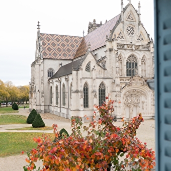 La Loge du Duc d'Albion - Charme et Sérénité au pied du Monastère de Brou - BOURG-EN-BRESSE