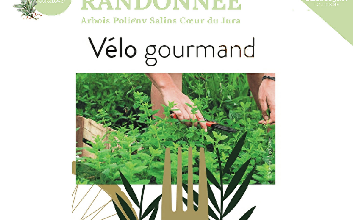 Gourmet-Radfahren