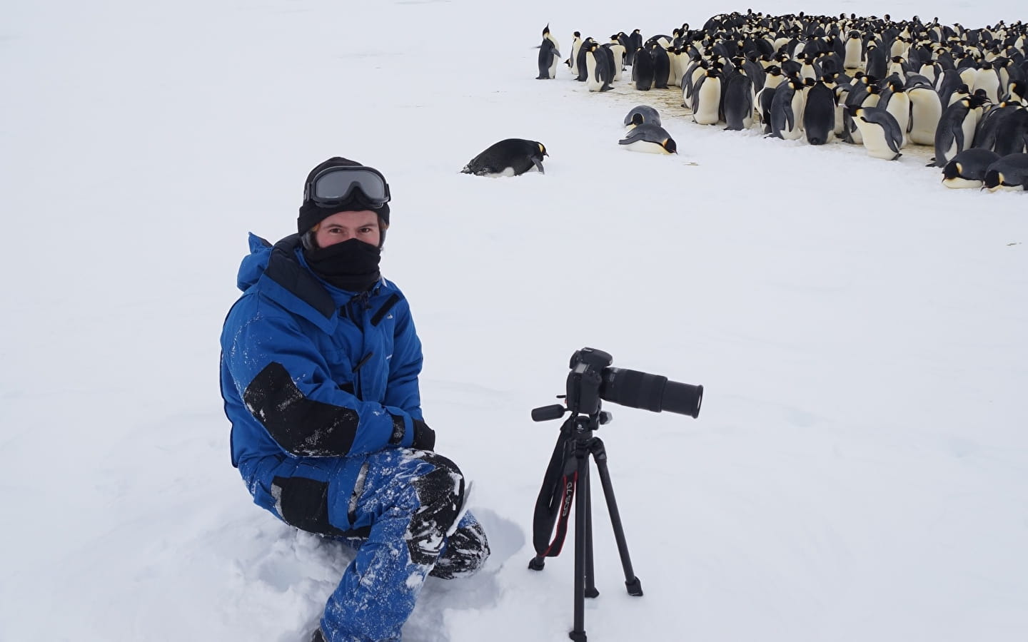 Vortrag '14 Monate in der Antarktis' von Alexis Carron, Naturökologe