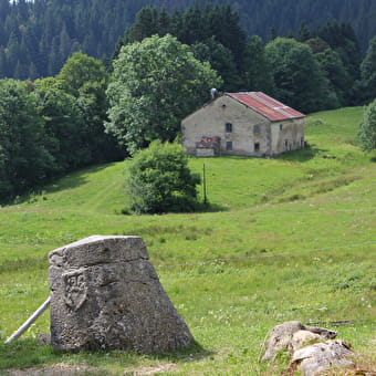 La Borne au Lion - CHAMPFROMIER