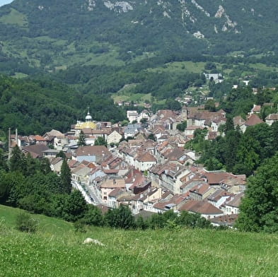 Besichtigung von Salins-les-Bains