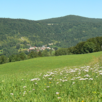 Die Köche - MORBIER