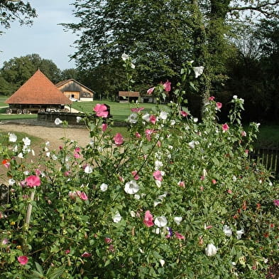 Gourmet- & Wellness-Wochenende im Land der Tuyés