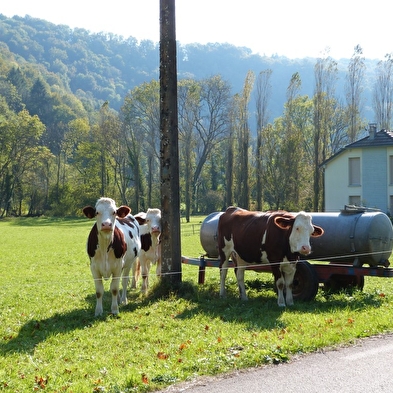 Der berg guillon wanderweg