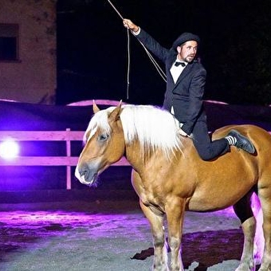 Pferdeshow 'Les Comtois en Folie' (Die verrückten Comtoiser)