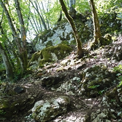 Wanderweg - der berg dommage
