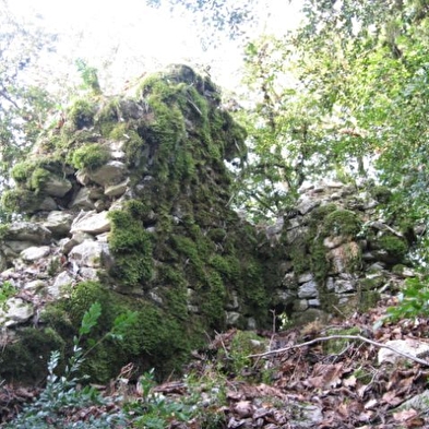 Maison forte de Lomont