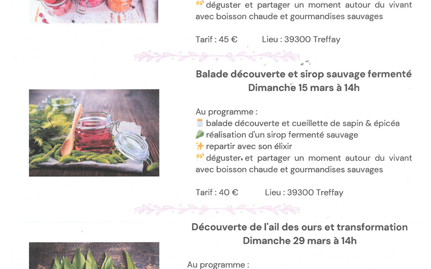 Natur-Workshops Frühling