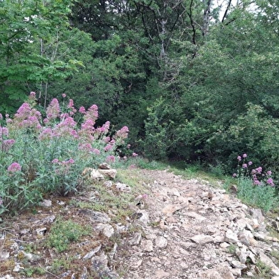 Rundgang durch das Fort de Chaudanne 