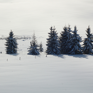 Site Nordique de Belleydoux