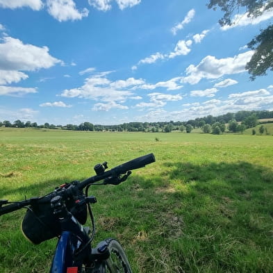 Circuit VTT-VTC n°9 - Le bocage de Foissiat