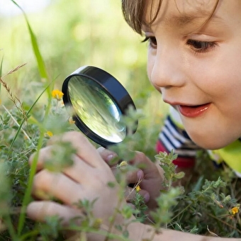 Aufenthalt 100% Frühling in Le Duchet -