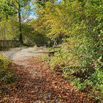 Sentier Botanique de Rurey - RUREY