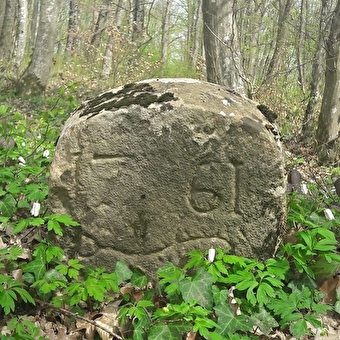 Rundgang durch den Bois Bourgeois - MONTBELIARD