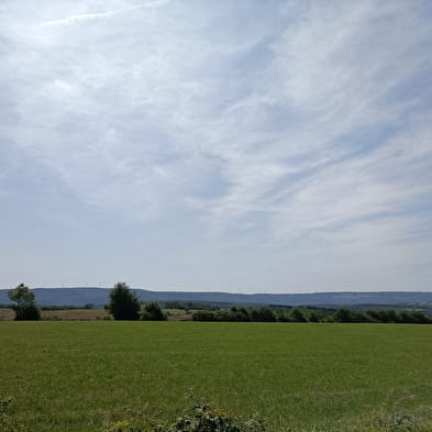 Rundweg durch den Wald von Villars-Sous-Écot Maquis-Denkmal