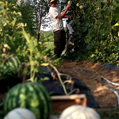 Besuch einer Bio-Obstfarm - Le Champ des Gourmands
