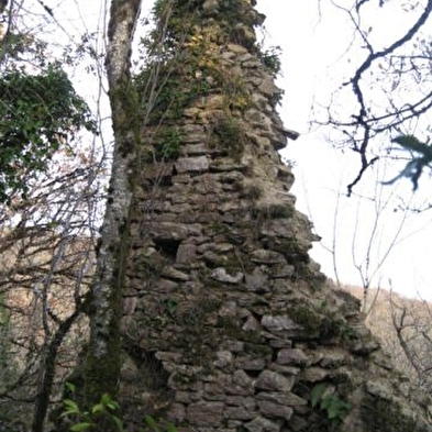 Maison forte de Lomont