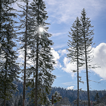 Site Nordique de Chapelle des Bois - CHAPELLE-DES-BOIS