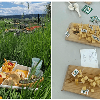 Wanderung zu den Comté-Früchten