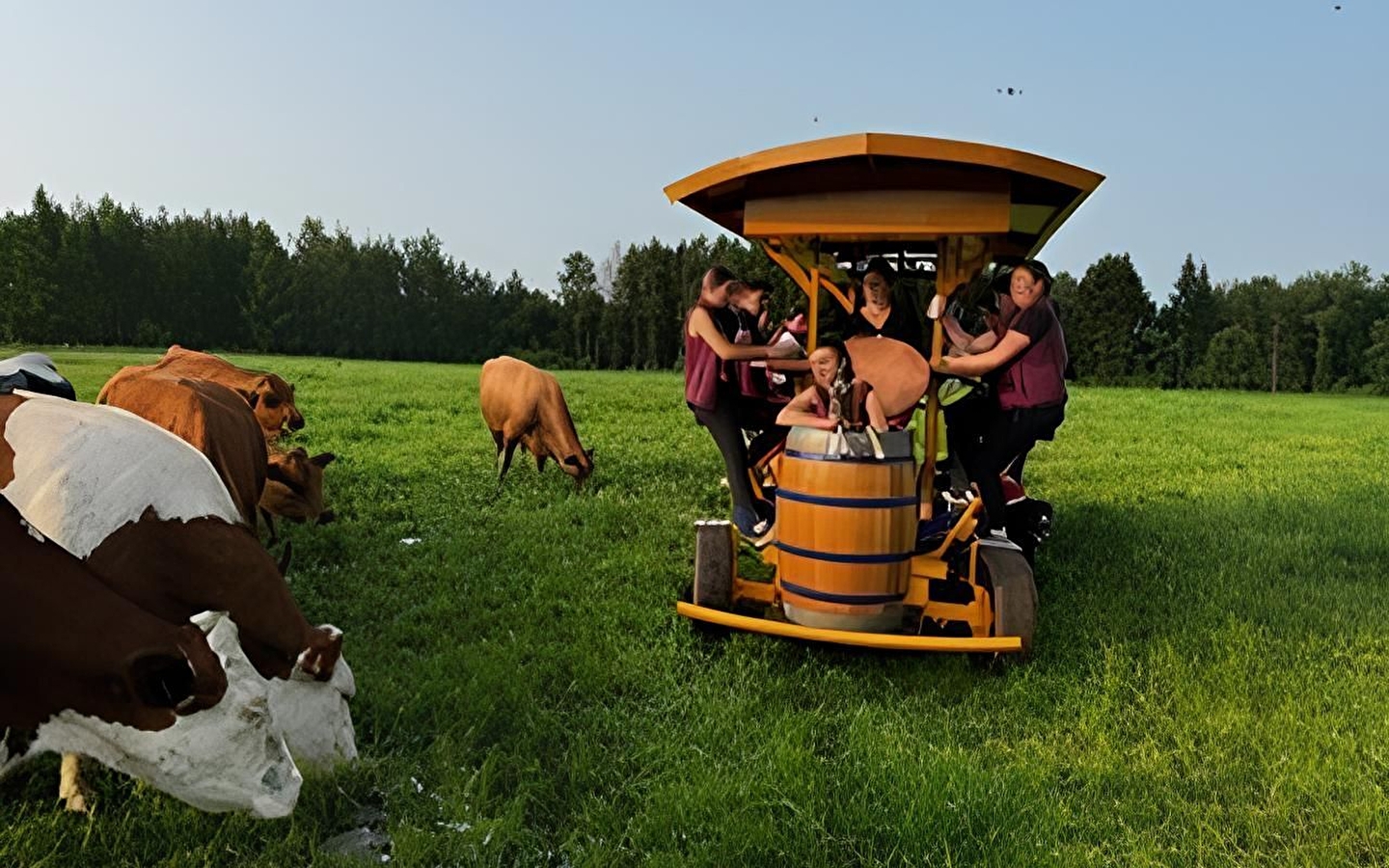 La Ferme du Rondeau mit dem Fahrrad macht Spaß!