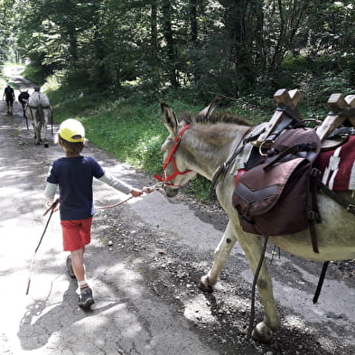 Wanderung mit Eseln