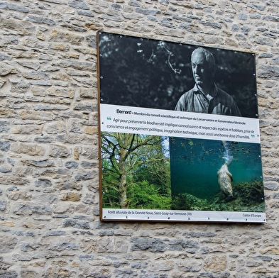 Ausstellung 'Regards sur la nature de Franche-Comté' (Einblicke in die Natur der Franche-Comté)
