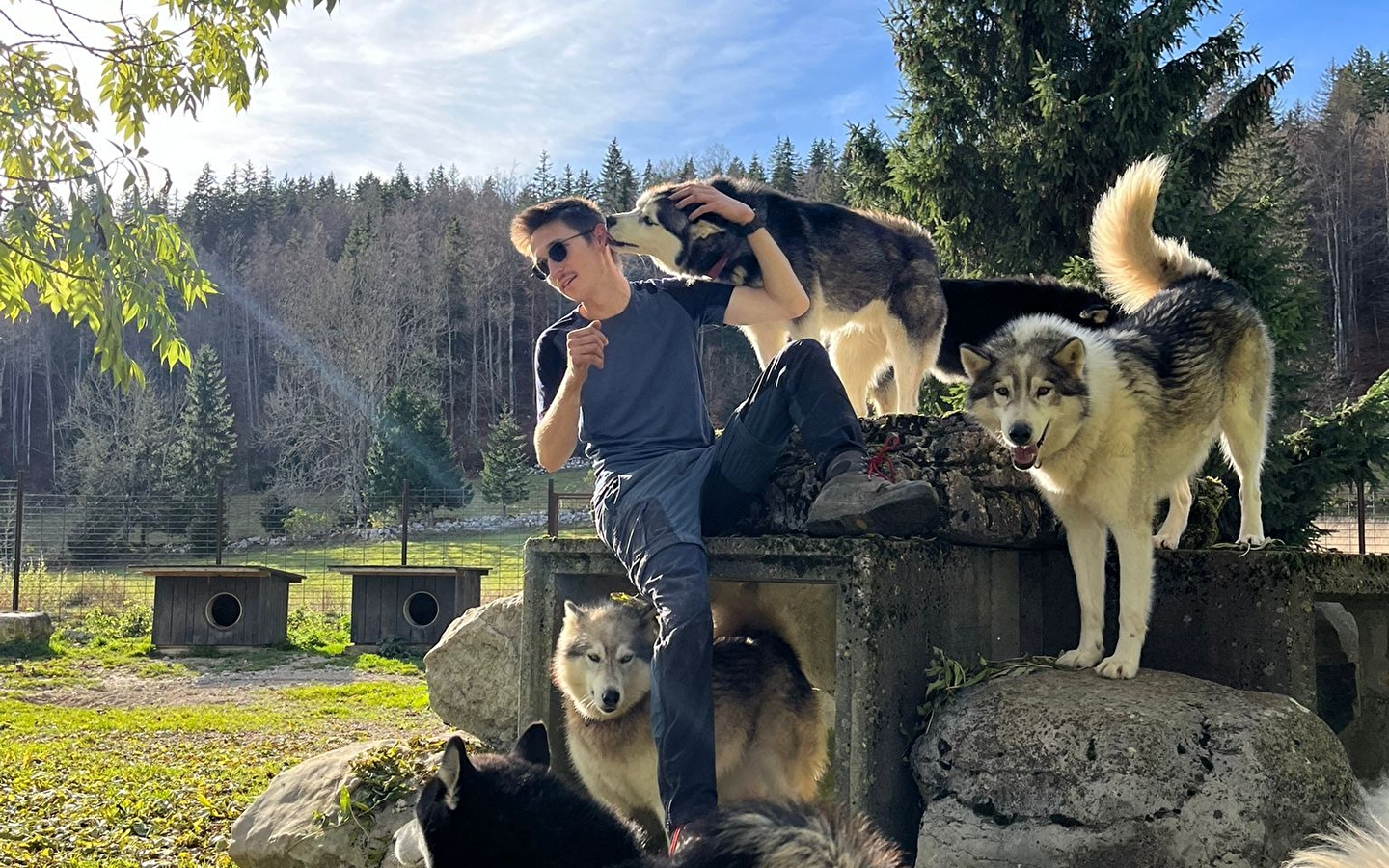 Kommentierte Tour durch unser Rudel