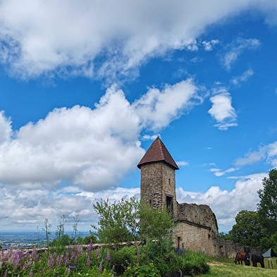 Führungen - Tag der offenen Tür im Château de Chevreaux