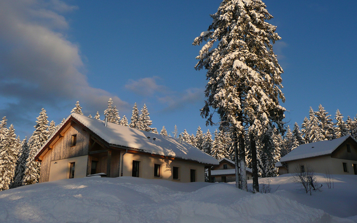 Chalet -Les Hauts Bois - Anémone