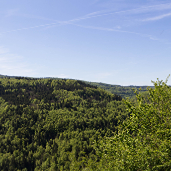 Die Köche - MORBIER