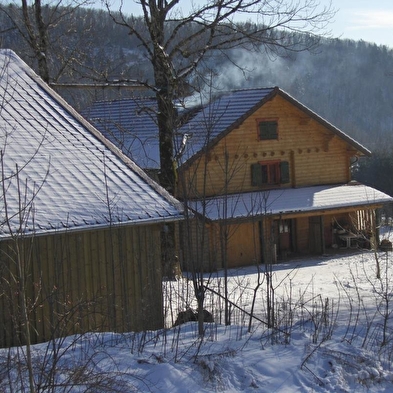 Chalet Scandinave Organique