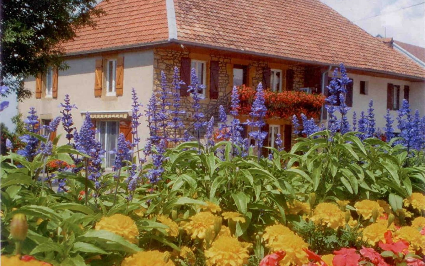 Les Damettes