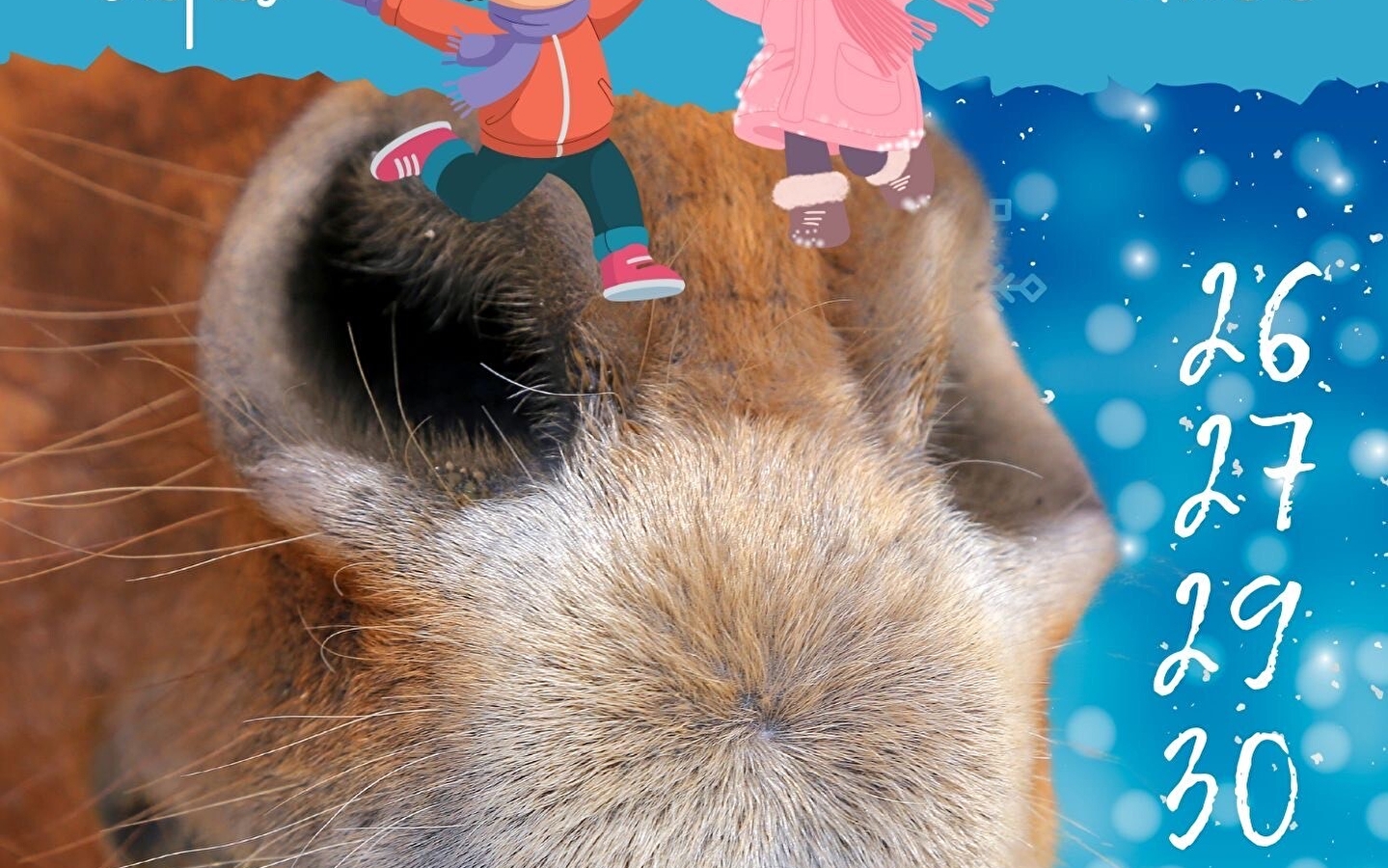 Kindernachmittage - La Ferme des Comtois