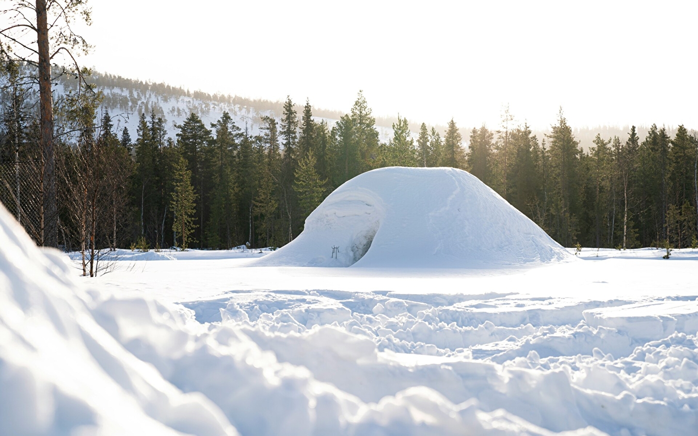 Skischule Haut-Jura - Les Moussières: Iglu Chamallow