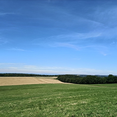 Tante-Arie-Rundgang