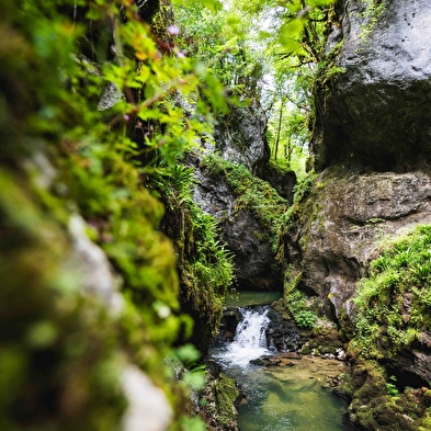 Les Gorges de l'Abîme