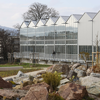 Le Jardin botanique, Biome - BESANCON
