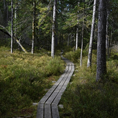 40 Jahre Reservat, Termin in der Zukunft: im Jahr 2046! 