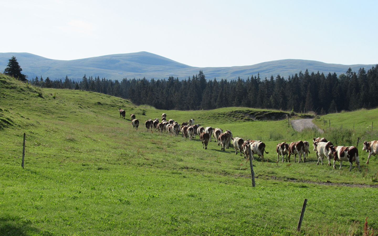 Trekking-Entdeckung der Hautes-Combes des Jura mit Lucas Humbert