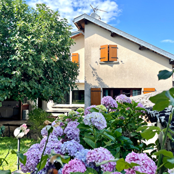 La Casa Del Papa - DOLE