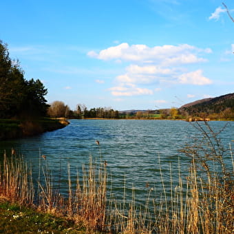 Lac de Besain - BESAIN