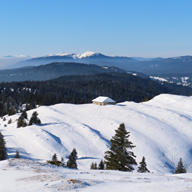 Schneeschuhwandern in den Weiten des Schweizer Jura