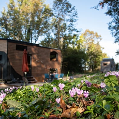 Tiny House n°2 - Le Nid Etoilé d'Augustine